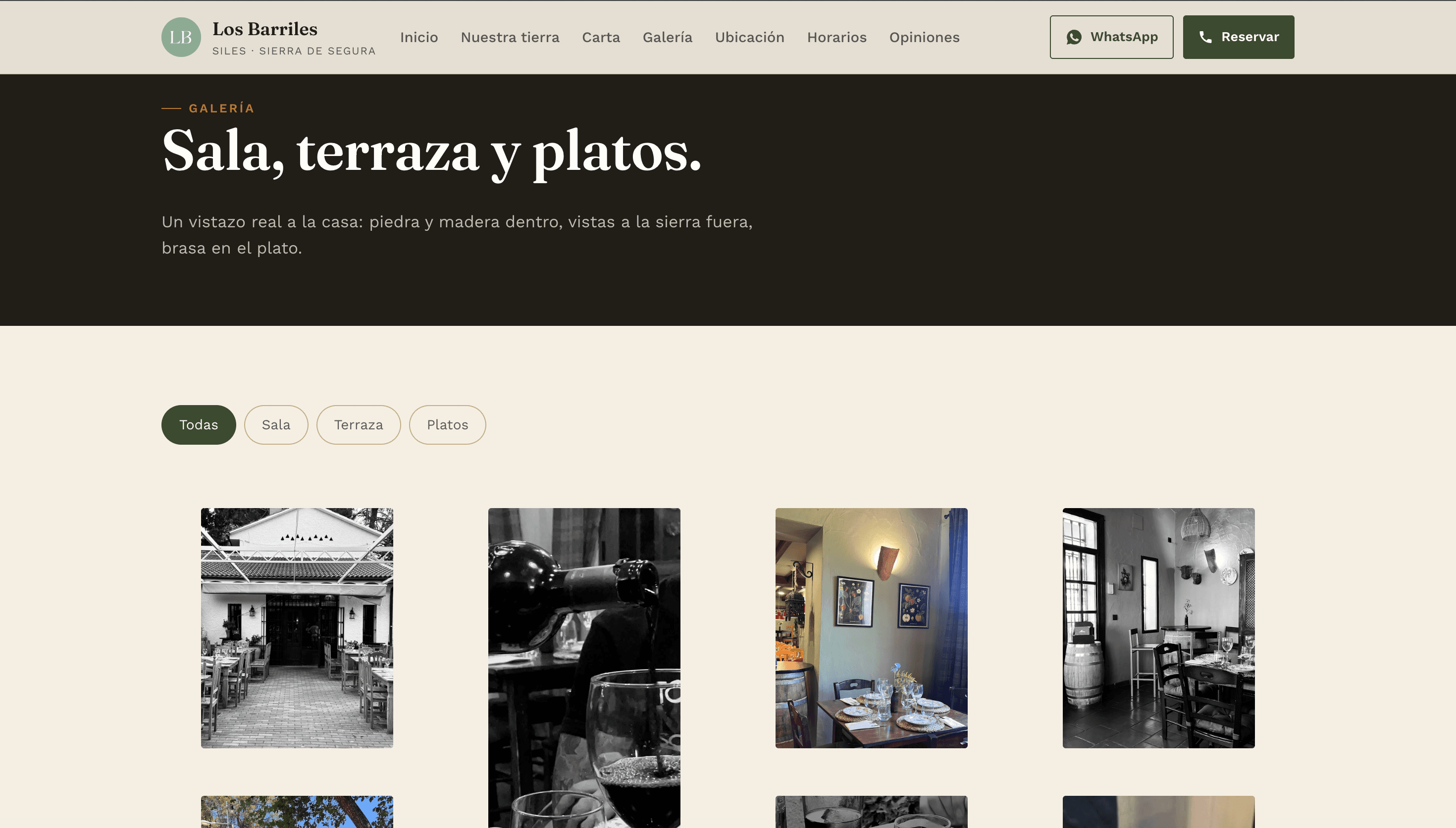 Galería de fotos filtrable por categorías en Los Barriles